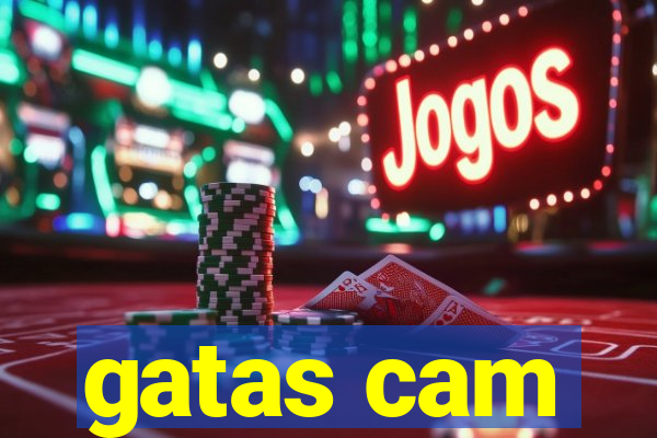 gatas cam