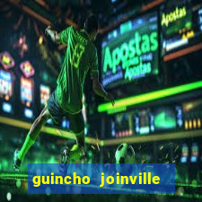 guincho joinville vila nova