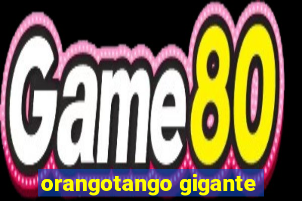 orangotango gigante