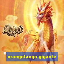 orangotango gigante