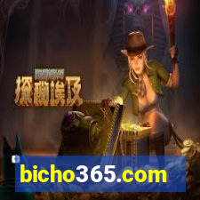 bicho365.com