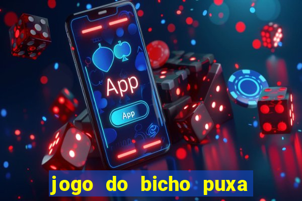 jogo do bicho puxa de dona maria