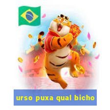 urso puxa qual bicho