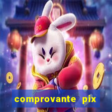 comprovante pix fake meme