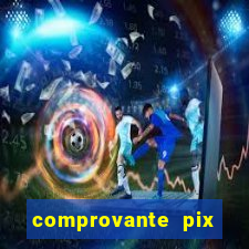 comprovante pix fake meme