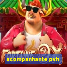 acompanhante pvh