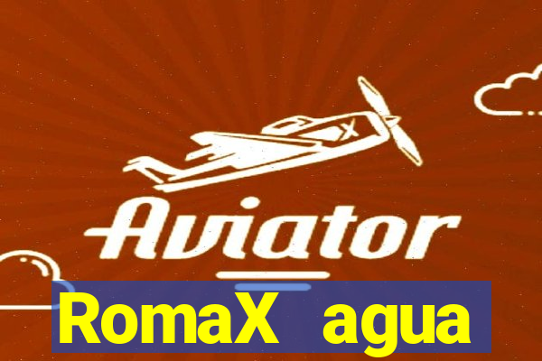 RomaX agua sanitaria fispq agua sanitaria romax