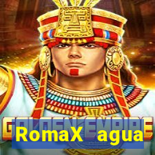 RomaX agua sanitaria fispq agua sanitaria romax