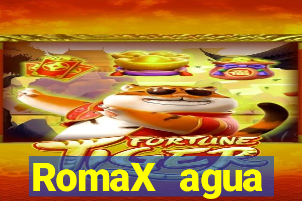 RomaX agua sanitaria fispq agua sanitaria romax