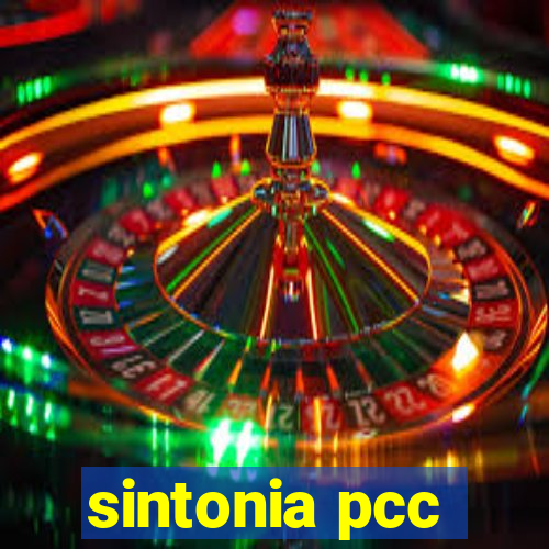 sintonia pcc