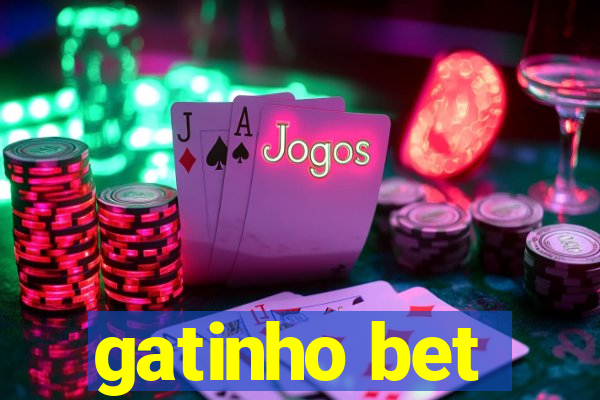 gatinho bet