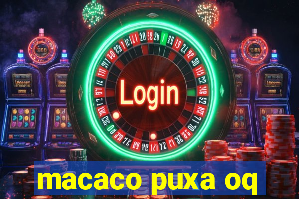 macaco puxa oq