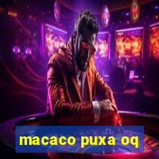 macaco puxa oq