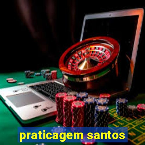 praticagem santos