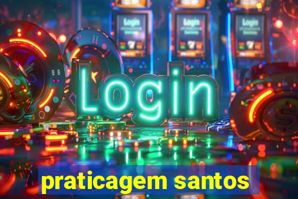 praticagem santos