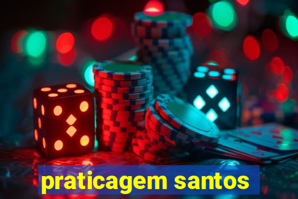 praticagem santos