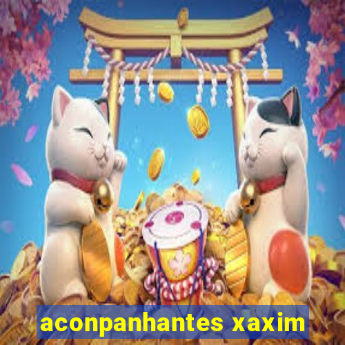 aconpanhantes xaxim