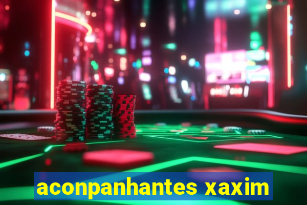 aconpanhantes xaxim