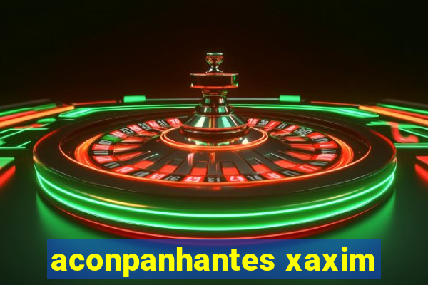 aconpanhantes xaxim