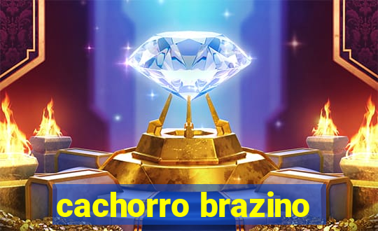 cachorro brazino