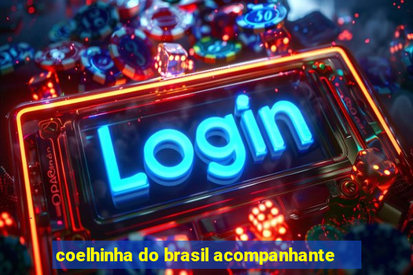 coelhinha do brasil acompanhante