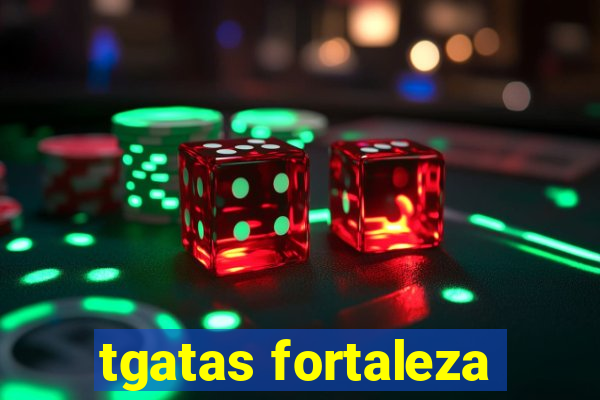 tgatas fortaleza