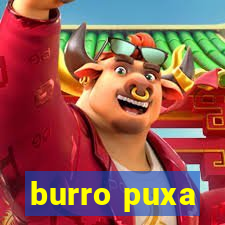 burro puxa