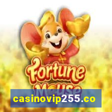 casinovip255.com