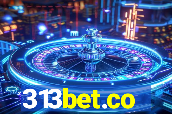 313bet.co