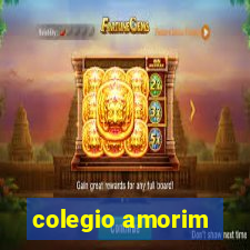 colegio amorim