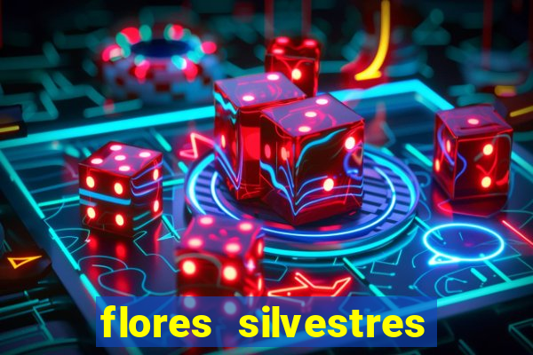 flores silvestres desbravadores desbravadores 25