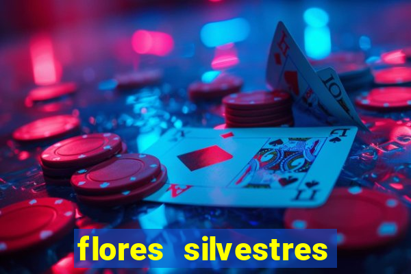 flores silvestres desbravadores desbravadores 25