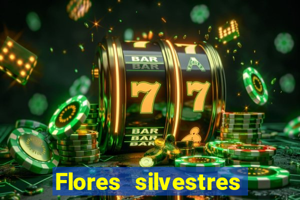 Flores silvestres brasileiras brasileiras flores silvestres nomes e imagens