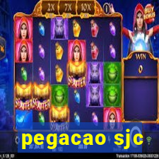 pegacao sjc