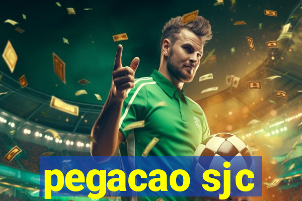 pegacao sjc