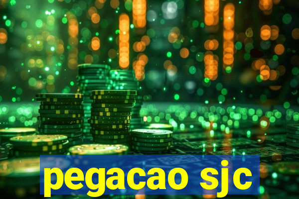 pegacao sjc