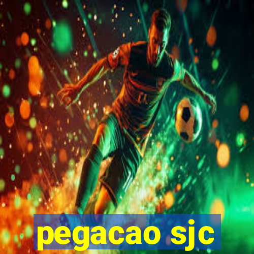 pegacao sjc