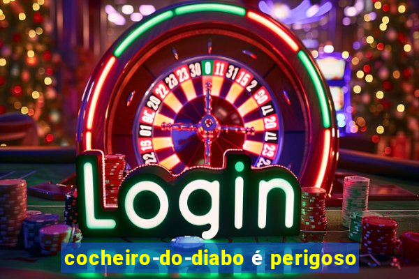 cocheiro-do-diabo é perigoso