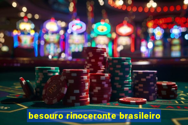 besouro rinoceronte brasileiro