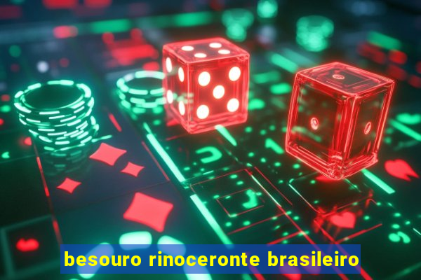 besouro rinoceronte brasileiro