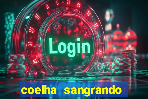 coelha sangrando pela parte intima