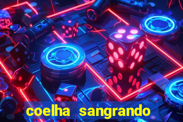 coelha sangrando pela parte intima