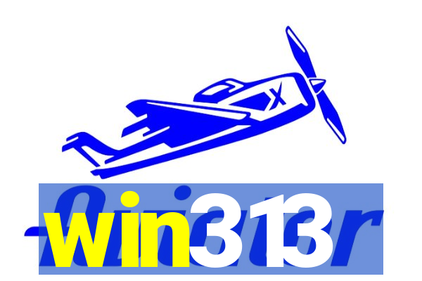 win313