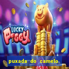 puxada do camelo no jogo do bicho