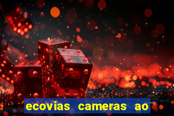 ecovias cameras ao vivo santos