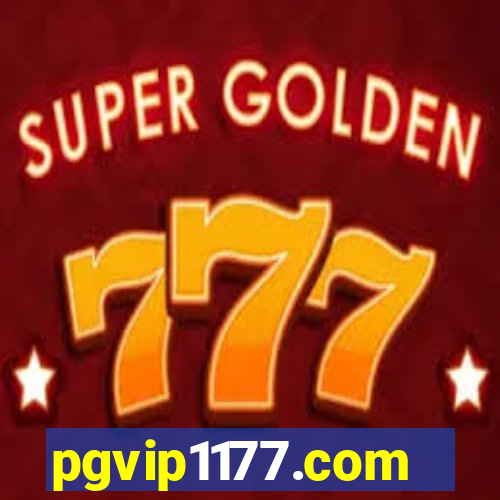 pgvip1177.com