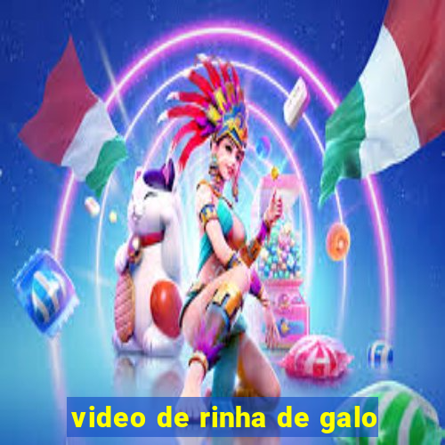 video de rinha de galo