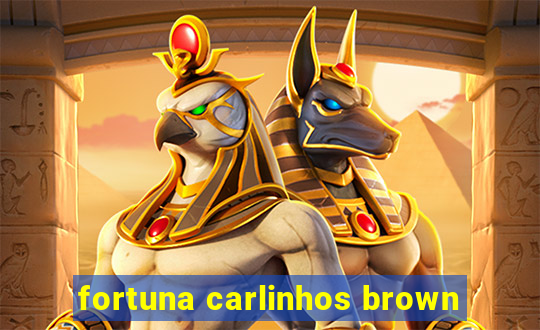 fortuna carlinhos brown