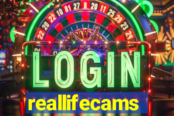 reallifecams