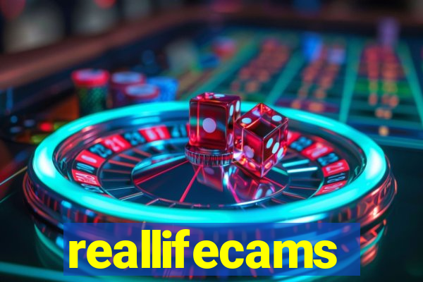 reallifecams